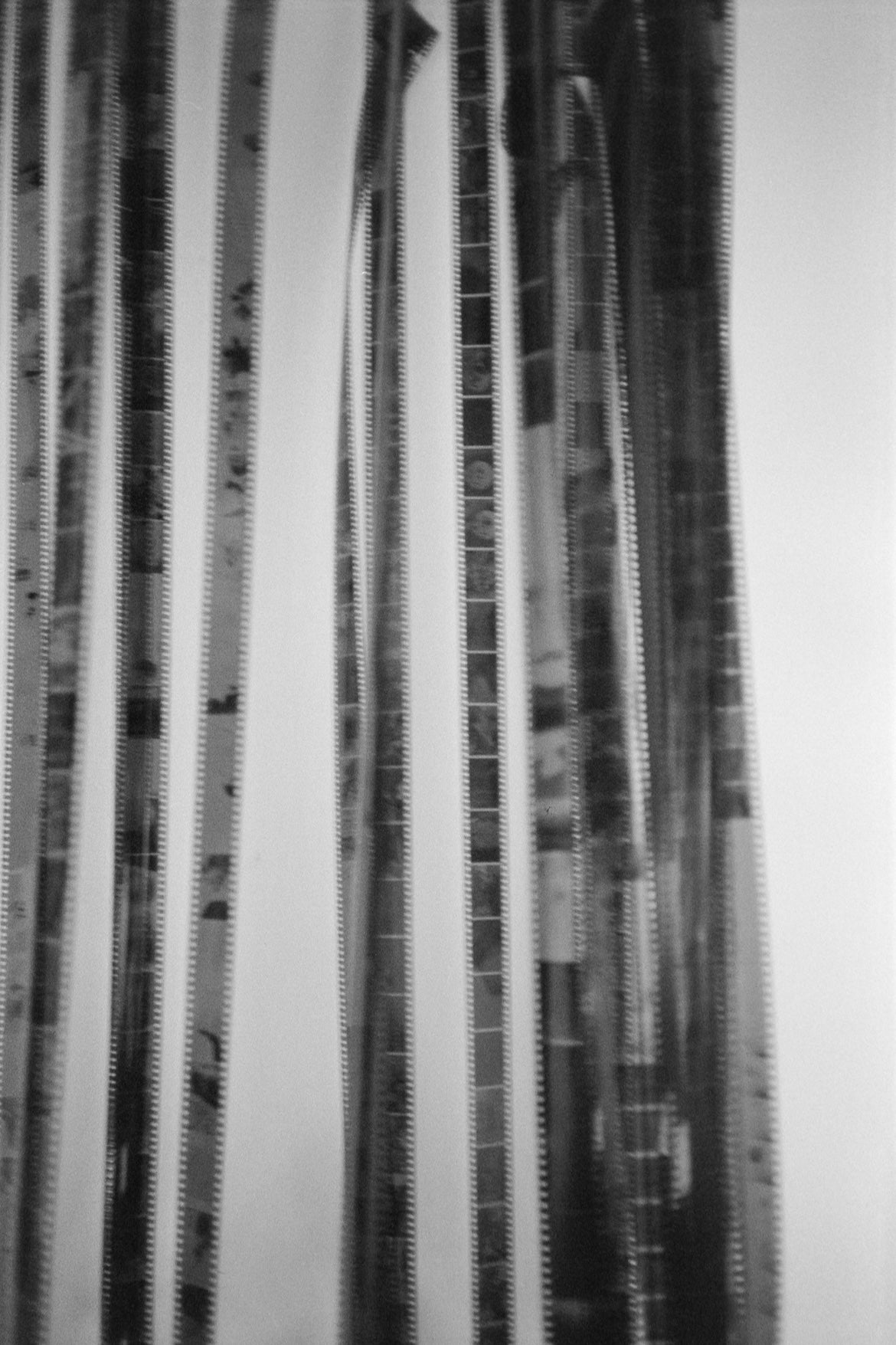 Film Developing & Scanning