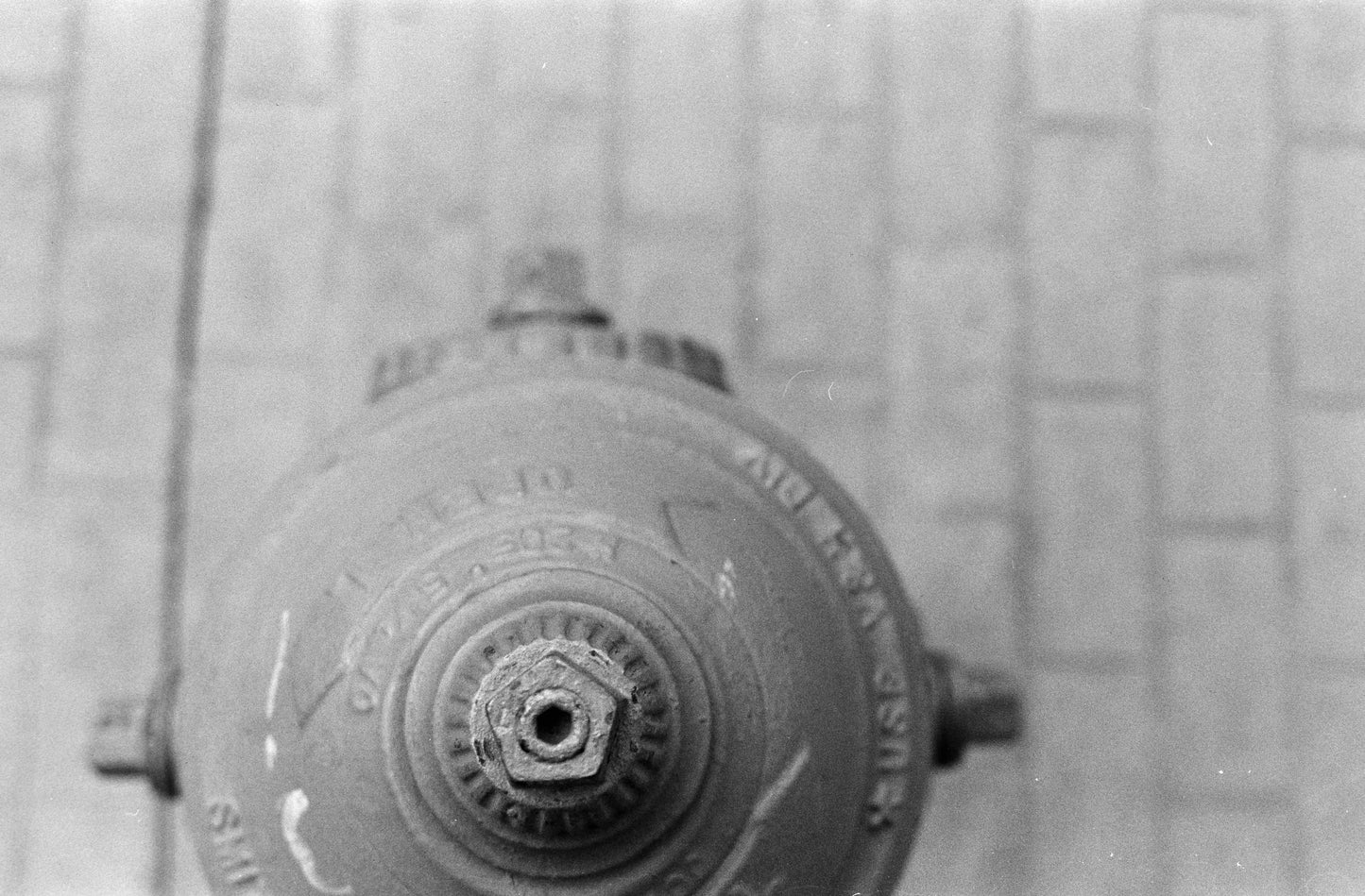 Film Developing & Scanning