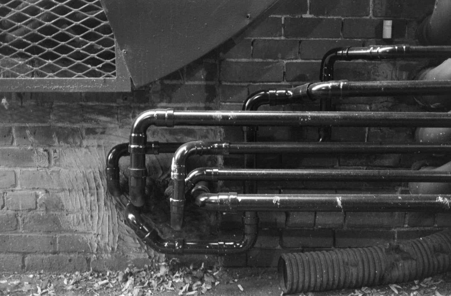 Film Developing & Scanning
