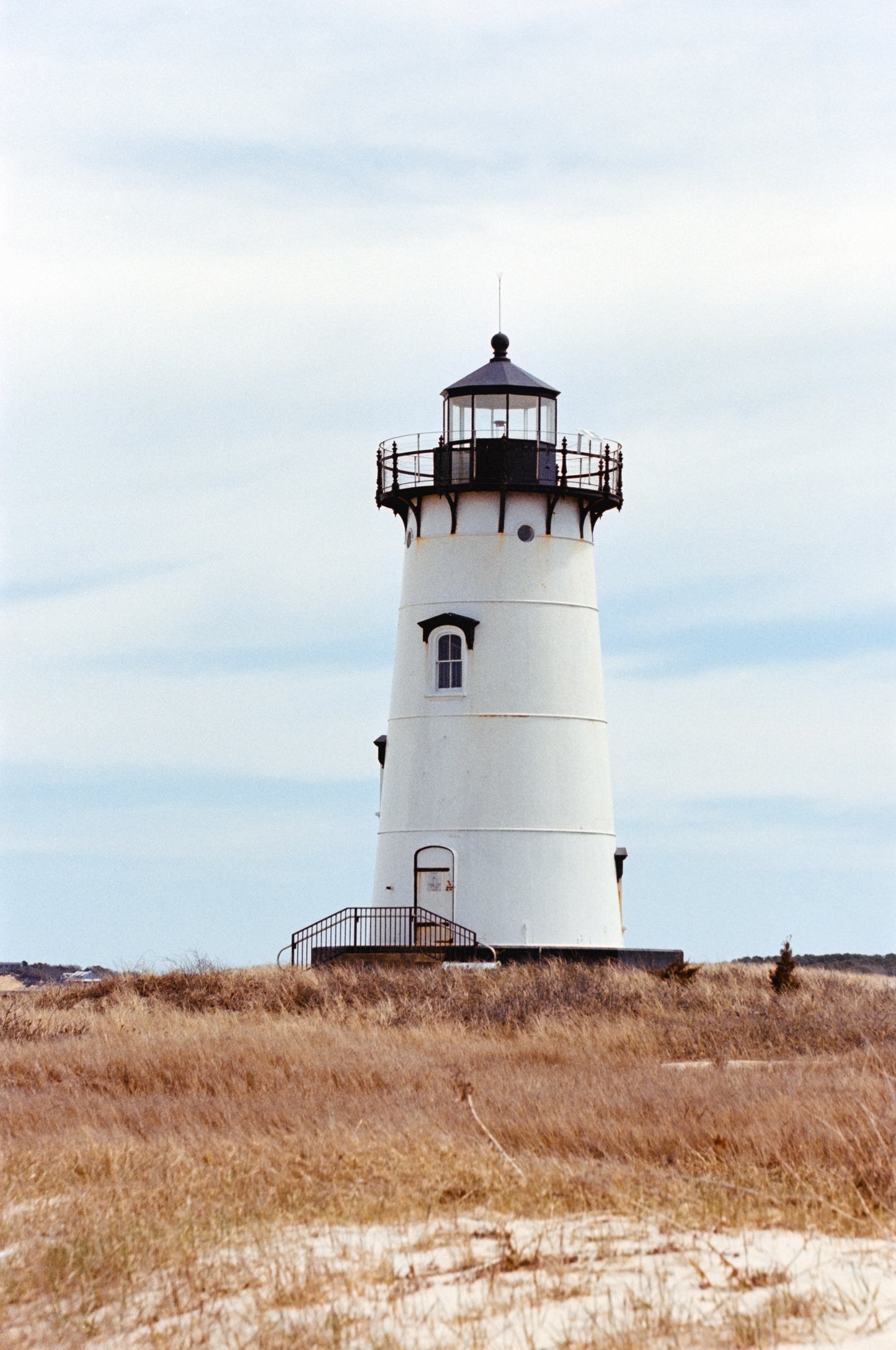 Film Developing & Scanning