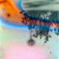 Film Developing & Scanning