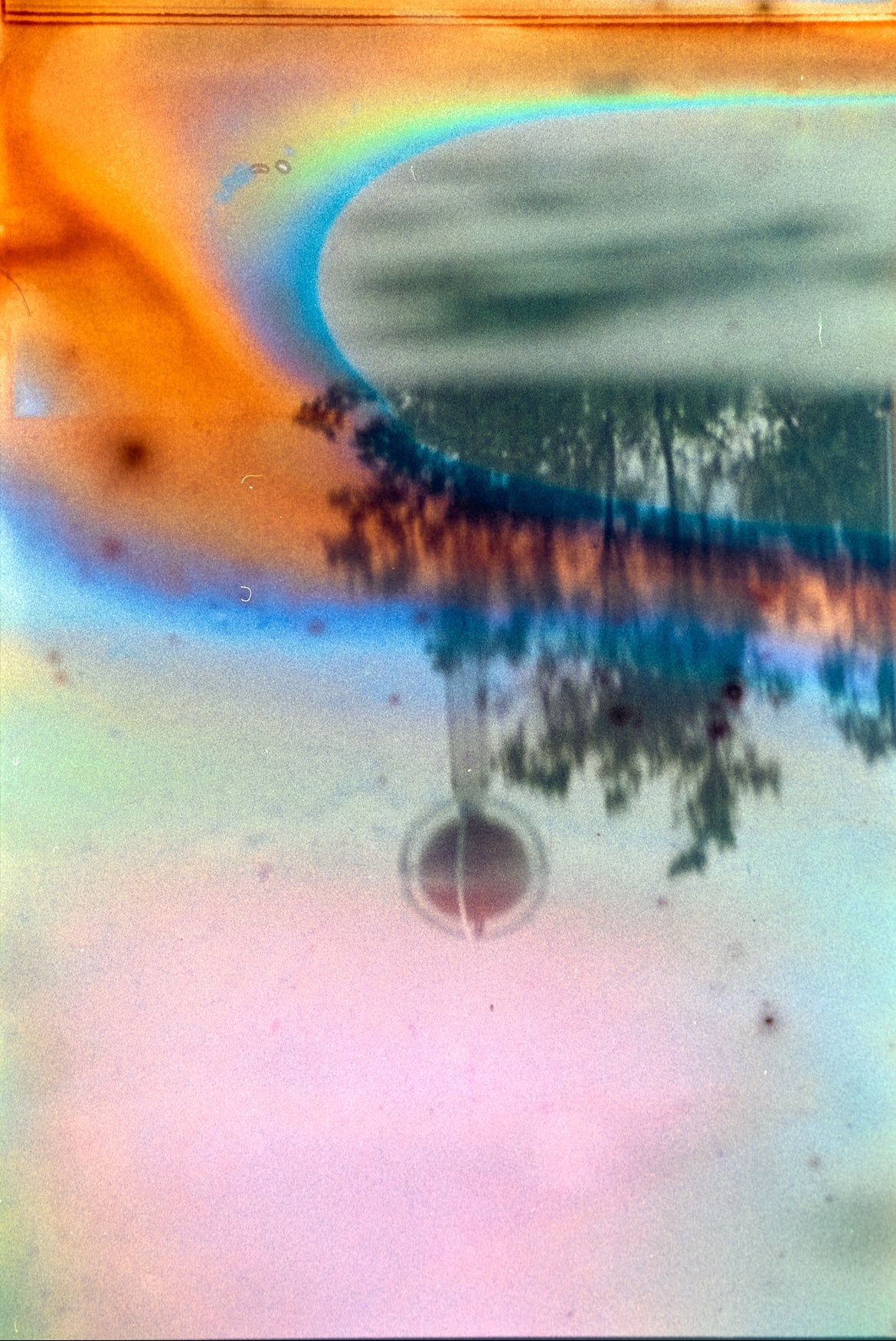 Film Developing & Scanning