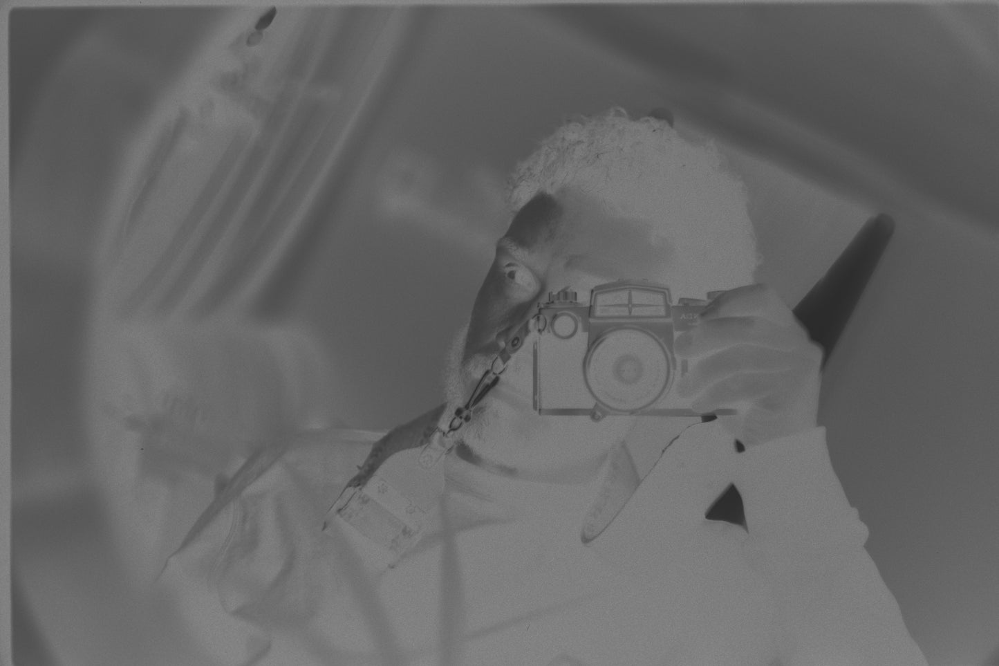 Film Developing & Scanning